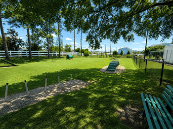 Pet agility park